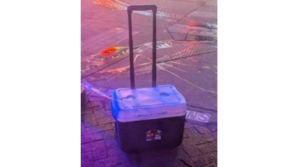 New Orleans attacker acted alone and 'no definitive link' to Las Vegas Tesla explosion, FBI says