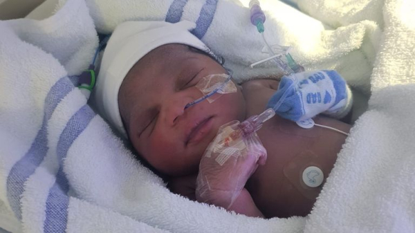 Reward of £20,000 offered to identify parents of three siblings abandoned as babies over eight years