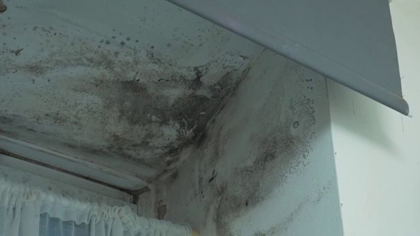 Rightmove: 'First drop' in house rent prices outside London since before the COVID pandemic Rightmove: 'First drop' in house rent prices outside London since before the COVID pandemic