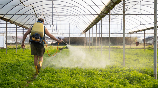 4 key women's health issues that have been neglected, expert says 4 key women's health issues that have been neglected, expert says