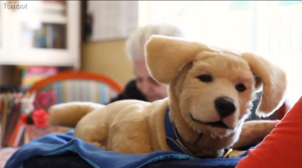 Super Bowl and sports fan depression: How to cope when your team loses, according to mental health experts