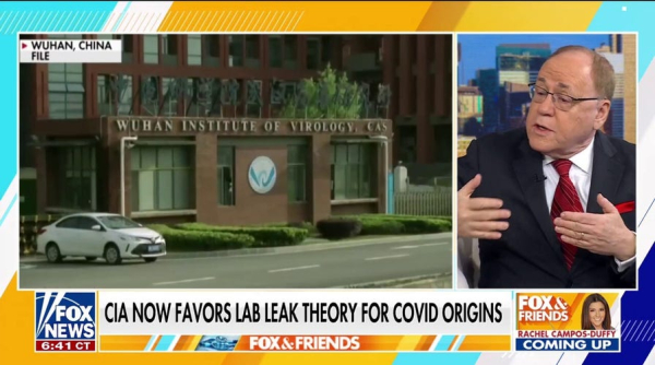 New bat coronavirus discovered in China sparks pandemic concerns New bat coronavirus discovered in China sparks pandemic concerns