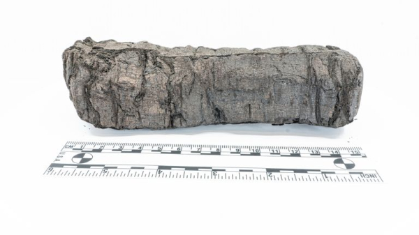 Ancient scrolls near Pompeii were preserved but unreadable - are they now revealing their secrets? Ancient scrolls near Pompeii were preserved but unreadable - are they now revealing their secrets?