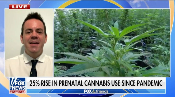 Heavy cannabis use could pose this threat to the brain Heavy cannabis use could pose this threat to the brain