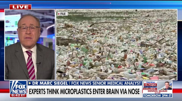 Seafood samples contain high levels of microplastics in US state, say researchers Seafood samples contain high levels of microplastics in US state, say researchers