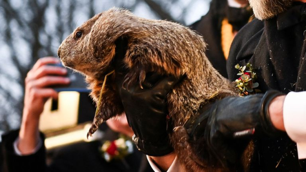 Groundhog Day: Punxsutawney Phil predicts six more weeks of wintry weather Groundhog Day: Punxsutawney Phil predicts six more weeks of wintry weather