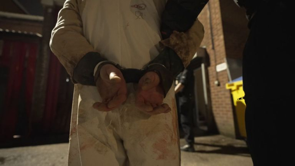 More British people than ever trapped in modern slavery - as Sky News joins police on abattoir raid