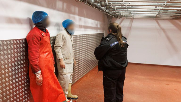 More British people than ever trapped in modern slavery - as Sky News joins police on abattoir raid