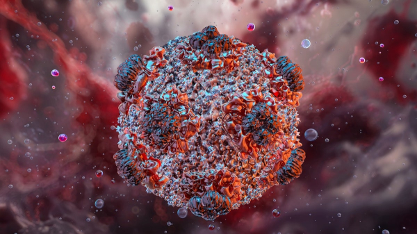 What is hantavirus, the cause of Gene Hackman’s wife’s death?