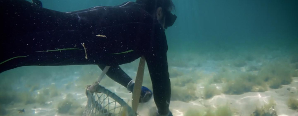 Bahrain’s pearling legacy: Reviving a millennia-old culture
 Bahrain’s pearling legacy: Reviving a millennia-old culture