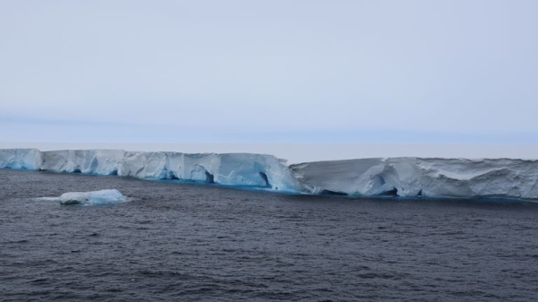 World's largest iceberg runs aground in South Georgia and blocks off key penguin feeding ground World's largest iceberg runs aground in South Georgia and blocks off key penguin feeding ground