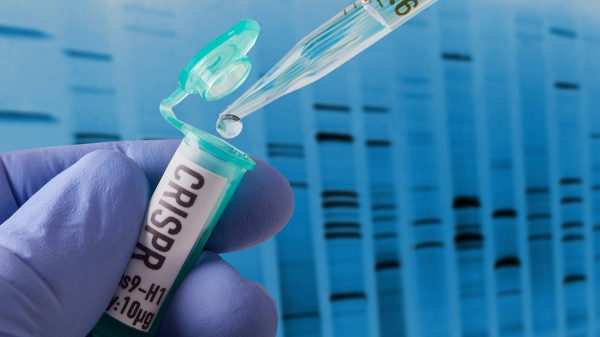 Alzheimer’s brain treatment shows promising results in new study Alzheimer’s brain treatment shows promising results in new study