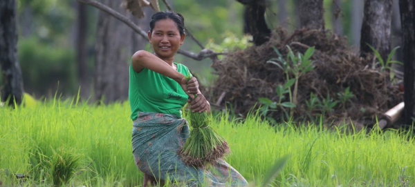 ‘Every piece tells a story’: Bombs to beauty, from Gaza to Ukraine
 ‘Every piece tells a story’: Bombs to beauty, from Gaza to Ukraine
