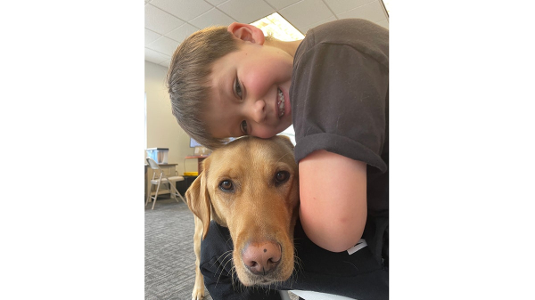 Kids with autism supported by service dogs, as research and families note 'incredible changes'