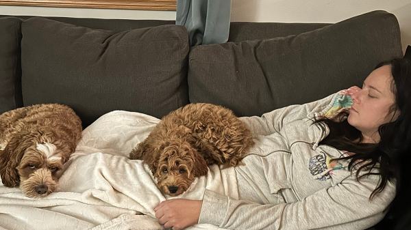 Woman says dog detected her breast cancer before doctors did: 'He's known this whole time' Woman says dog detected her breast cancer before doctors did: 'He's known this whole time'