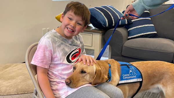 Kids with autism supported by service dogs, as research and families note 'incredible changes'