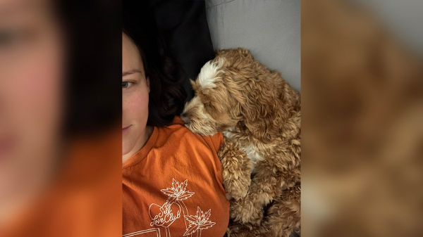 Woman says dog detected her breast cancer before doctors did: 'He's known this whole time' Woman says dog detected her breast cancer before doctors did: 'He's known this whole time'