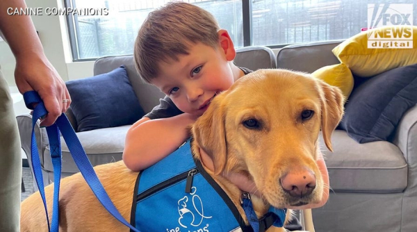 Kids with autism supported by service dogs, as research and families note 'incredible changes'