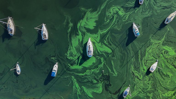 Campaigners say analysis shows illegal sewage spills in Lake Windermere reach record levels Campaigners say analysis shows illegal sewage spills in Lake Windermere reach record levels