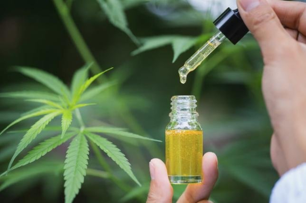 CBD could calm autistic children, teens, researchers report CBD could calm autistic children, teens, researchers report