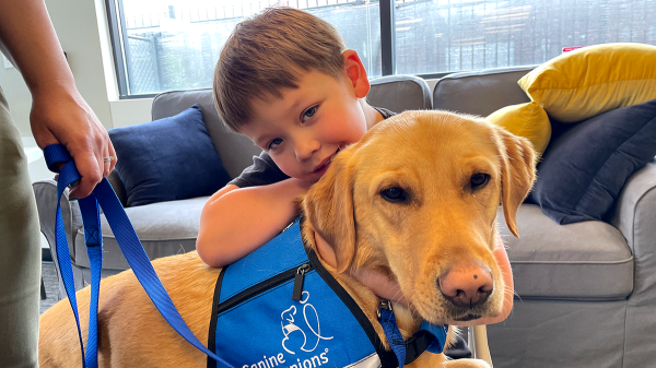 Kids with autism supported by service dogs, as research and families note 'incredible changes'