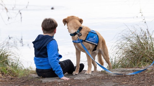 Kids with autism supported by service dogs, as research and families note 'incredible changes'