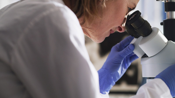 Experimental women's cancer drug boosts survival rates in notable study Experimental women's cancer drug boosts survival rates in notable study