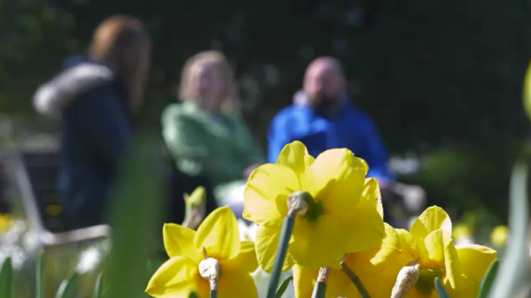 Parents of boy whose outbursts left them fearing for their lives say Adolescence 'touched a nerve' Parents of boy whose outbursts left them fearing for their lives say Adolescence 'touched a nerve'
