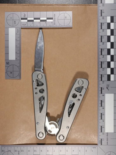 Schoolgirl who attempted to murder teachers and pupil in Wales detained for 15 years