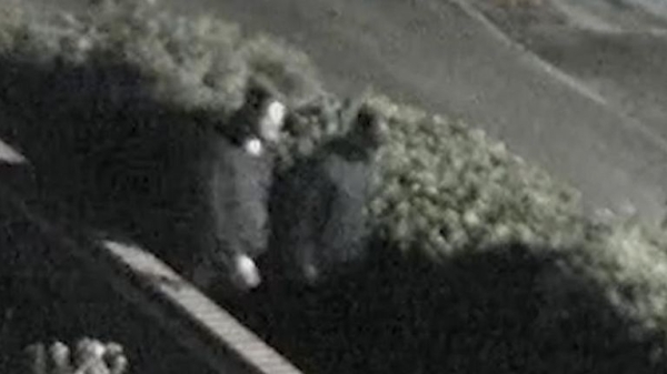 Three men jailed for plotting to murder £54m Securitas robber Paul Allen