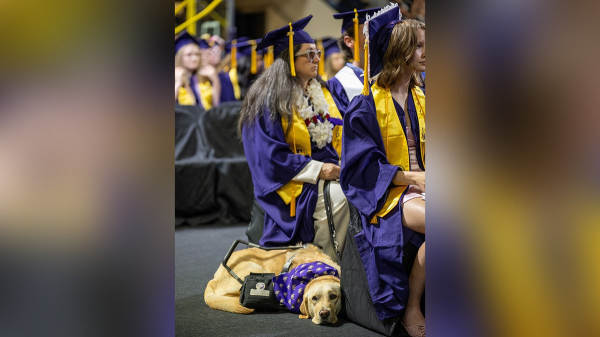 Blind mother of 5 graduates from college with honors alongside her guide dog Blind mother of 5 graduates from college with honors alongside her guide dog