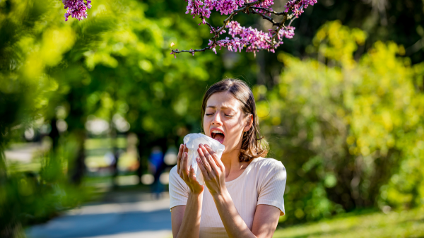 Top 10 'allergy capitals' of the US, plus 4 tips to manage symptoms Top 10 'allergy capitals' of the US, plus 4 tips to manage symptoms