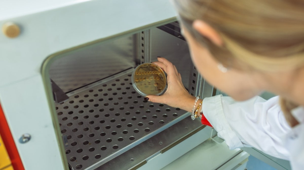 A common killer bug is endangering Americans: ‘Pandemic in plain sight’ A common killer bug is endangering Americans: ‘Pandemic in plain sight’