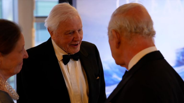 David Attenborough's Ocean film is 'biggest message he's ever told'