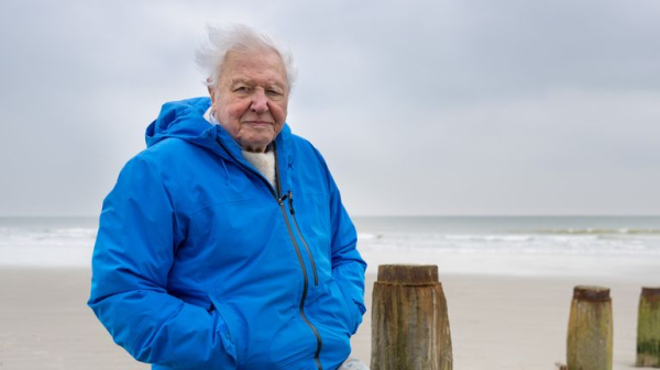 David Attenborough's Ocean film is 'biggest message he's ever told'