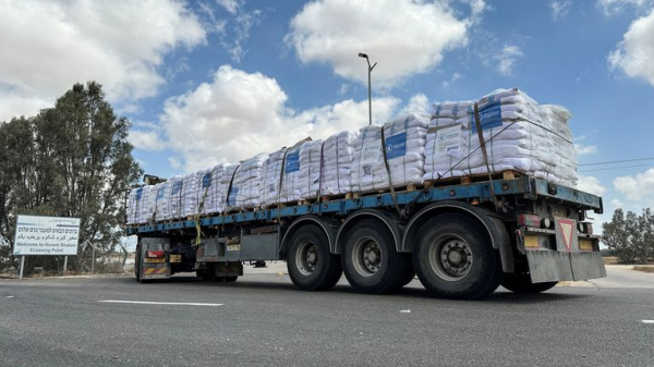 Dua Lipa, Gary Lineker, and Benedict Cumberbatch join more than 300 figures urging PM to 'end UK complicity' in Gaza