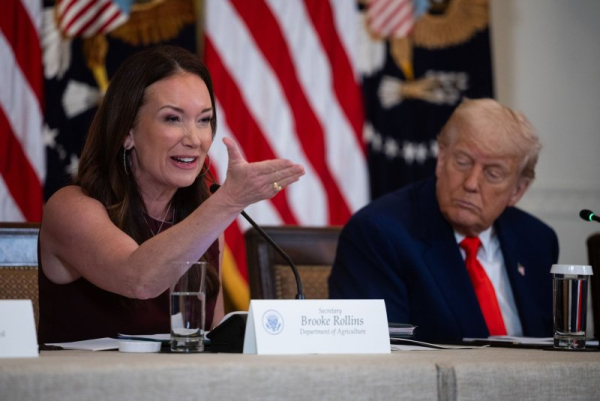 Report blames processed foods, poor lifestyles for health epidemic Report blames processed foods, poor lifestyles for health epidemic