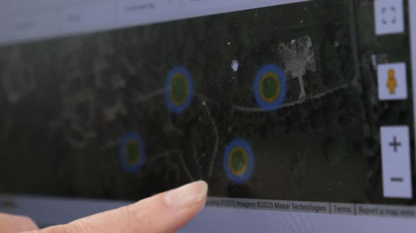 Scientists embark on crucial study to save Britain's bees