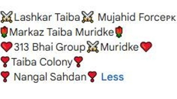 Terror group supporters posted on TikTok, YouTube and Google from site targeted in Indian airstrikes Terror group supporters posted on TikTok, YouTube and Google from site targeted in Indian airstrikes