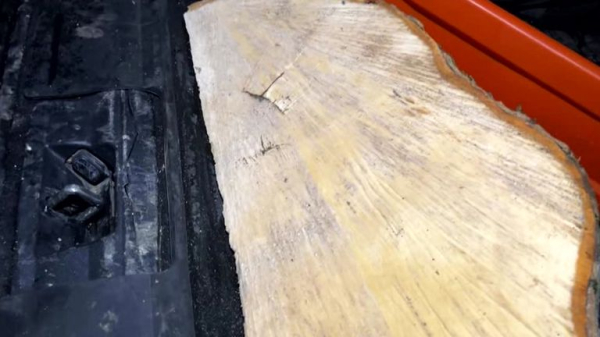 Two men found guilty of cutting down famous Sycamore Gap tree