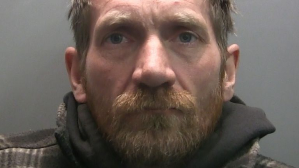 Two men found guilty of cutting down famous Sycamore Gap tree