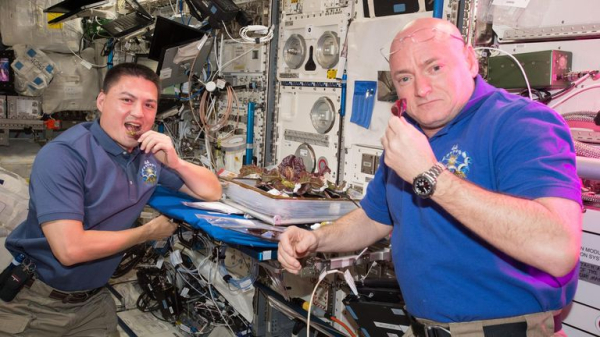 What astronauts could end up eating in space after experiment 'meets objectives' What astronauts could end up eating in space after experiment 'meets objectives'