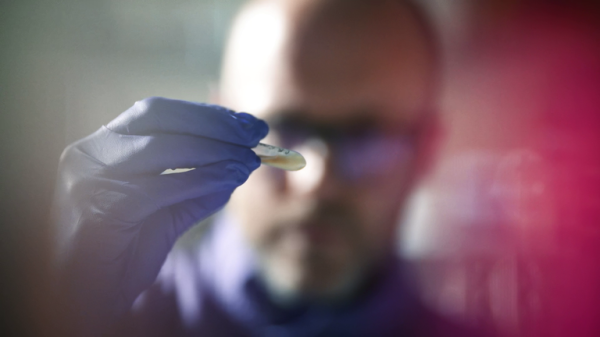 What do dolphins get up to beneath the waves? Their poo has the answers What do dolphins get up to beneath the waves? Their poo has the answers