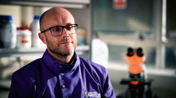 What do dolphins get up to beneath the waves? Their poo has the answers What do dolphins get up to beneath the waves? Their poo has the answers