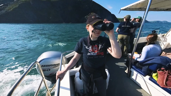 What do dolphins get up to beneath the waves? Their poo has the answers What do dolphins get up to beneath the waves? Their poo has the answers