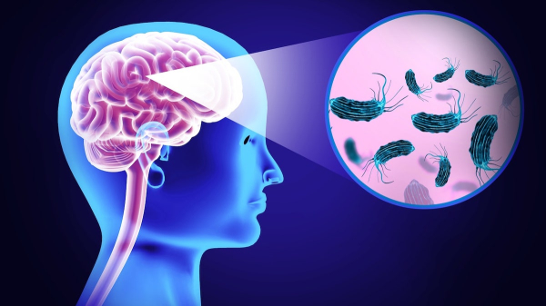 Woman dies of brain-eating amoeba after using tap water in nasal rinse device