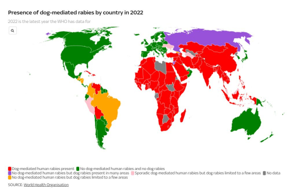 British woman dies from rabies - as family speak out to 'prevent this happening to others'