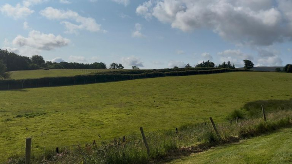 Farming: Cost of rural crime in Wales at its highest in more than a decade Farming: Cost of rural crime in Wales at its highest in more than a decade