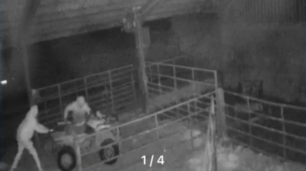 Farming: Cost of rural crime in Wales at its highest in more than a decade Farming: Cost of rural crime in Wales at its highest in more than a decade