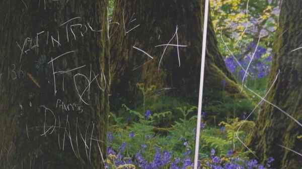 Mental health cases at A&E reach crisis level - as waits get longer and specialised beds dwindle Mental health cases at A&E reach crisis level - as waits get longer and specialised beds dwindle